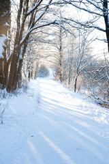 snow covered road