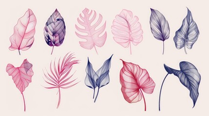 Vibrant assortment of leaves on a clean white backdrop, perfect for autumn themes or nature concepts