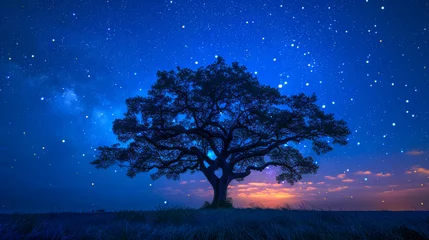Rollo Lone tree under a celestial night sky © Oleksandr