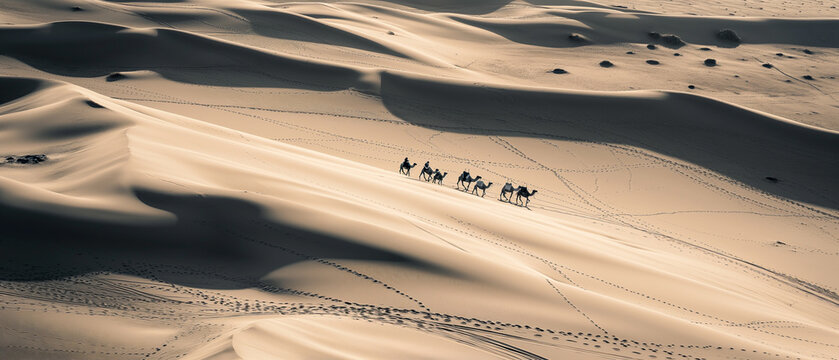 Aerial shot of camels in the desert, dunes of sand and high contrast. Aerial photography, a group of camels in the desert dunes. Ai generated