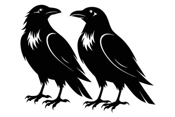 silhouette color image,Crow ,vector illustration,white background