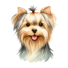 Watercolor cute Yorkshire Terrier portrait. Cute dog breed. Dog days concept.