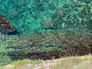 Clear sea water and wild flowers allium on the rock, aerial view. - obrazy, fototapety, plakaty