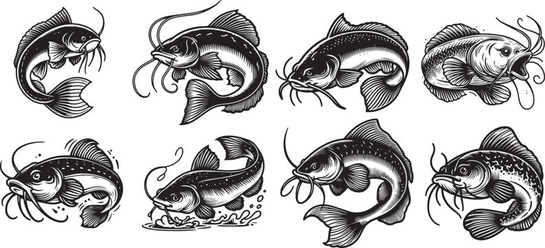 collection vector catfish graphics