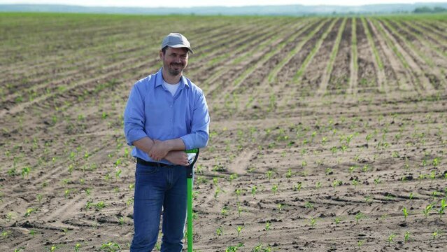 Male farmer smiling with shovel in field. Huge wide agricultural field with green fresh crops seeding sowings, adult businessman worker guy smiling happily proudly. Big agricultural agrarian business.