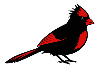 silhouette image,Cardinal  bird,vector illustration,white background