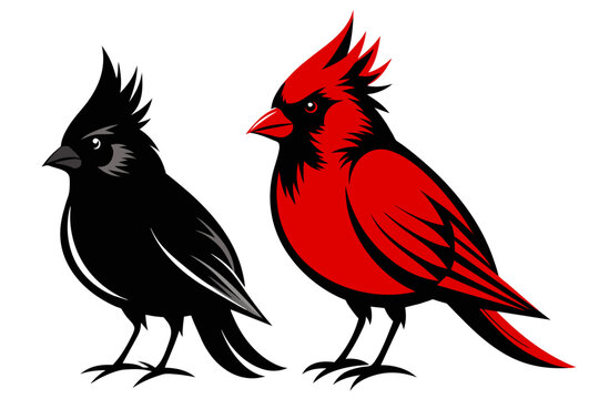 silhouette image,Cardinal  bird,vector illustration,white background