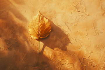 Autumn leaf casting shadow on textured surface, golden hour warmth