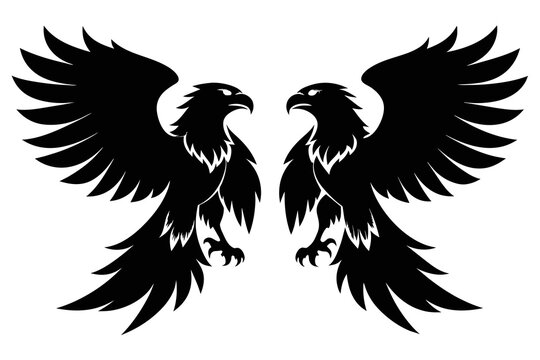 silhouette image,Eagle bird,vector illustration,white background