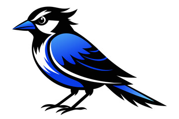  silhouette image,GBlue Jay bird,vector illustration,white background