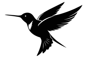 silhouette image,Hummingbird bird,vector illustration,white background 