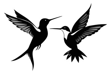 silhouette image,Hummingbird bird,vector illustration,white background 