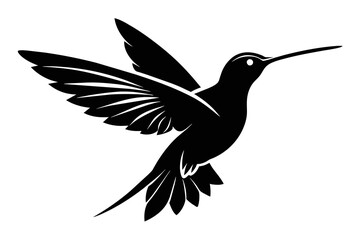 silhouette image,Hummingbird bird,vector illustration,white background 