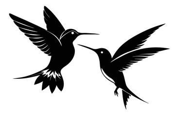 silhouette image,Hummingbird bird,vector illustration,white background 