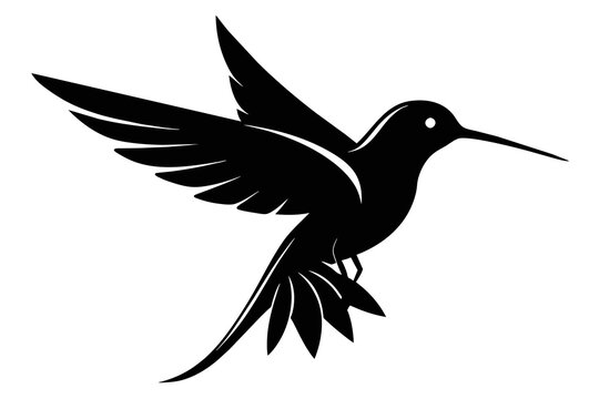 silhouette image,Hummingbird bird,vector illustration,white background 