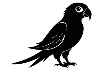 silhouette image,Parrot bird,vector illustration,white background