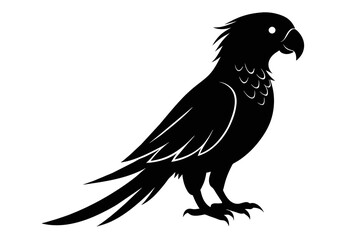 silhouette image,Parrot bird,vector illustration,white background