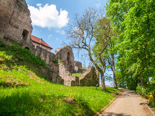 A scenic pathway leads to the entrance of the historic Pecka Castle, flanked by ancient walls and vibrant green foliage under a clear blue sky. Czechia - 775337969