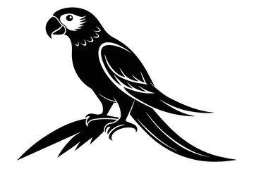 silhouette image,Parrot bird,vector illustration,white background