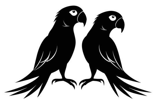 silhouette image,Parrot bird,vector illustration,white background