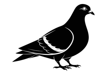 silhouette image,Pigeon bird,vector illustration,white background