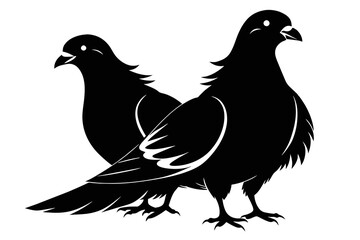 silhouette image,Pigeon bird,vector illustration,white background