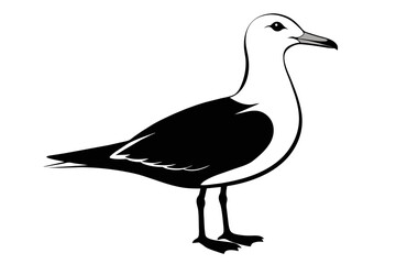 silhouette image,Seagull  bird,vector illustration,white background