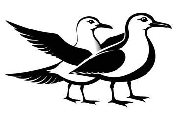 silhouette image,Seagull  bird,vector illustration,white background