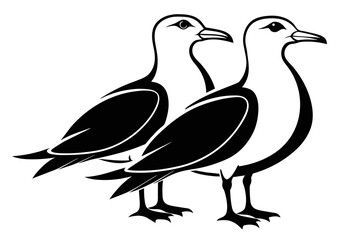 silhouette image,Seagull  bird,vector illustration,white background