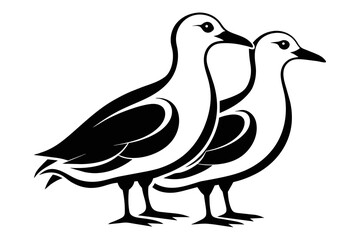 silhouette image,Seagull  bird,vector illustration,white background
