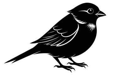  silhouette image,Sparrow bird,vector illustration,white background 
