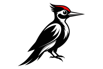 silhouette image,Woodpecker bird,vector illustration,white background