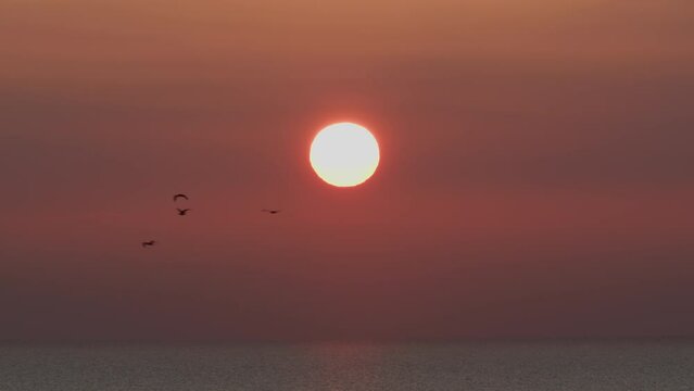 Sun descending into the ocean horizon under a red sky with silhouetted birds