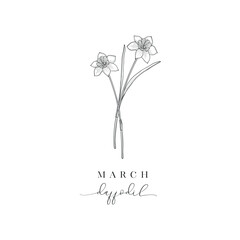 Daffodil, March. Hand drawn birth flowers, Vector Graphics.