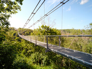 Hängebrücke über Bäumen bei blauen Himmel