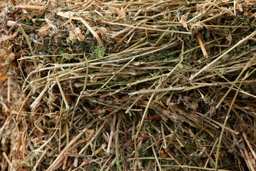 Alfalfa hay for animal feed or mulch. Hay bale prepared for storage. Close-up.
