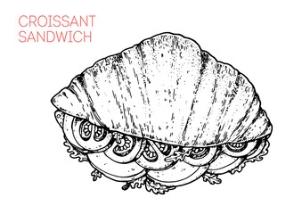 Croissant sandwich sketch. Hand drawn vector illustration.