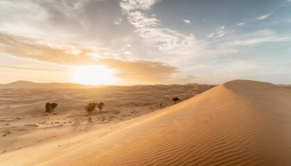 sahara nature banner desert