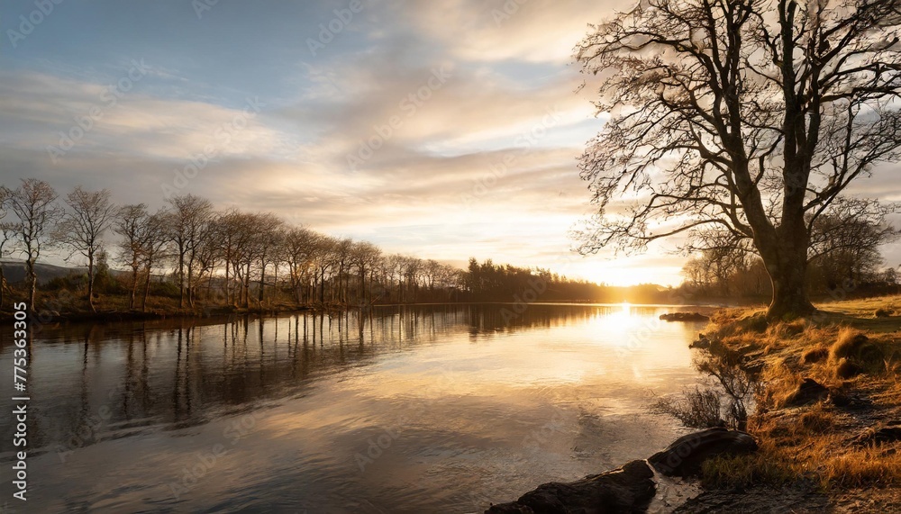 Poster magical landscape with trees and water