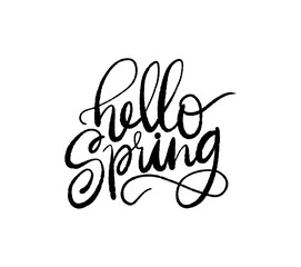 Hello Spring - lettering vector isolated on white background