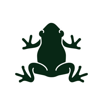Amazonian frog vector, vectorized image of frog for graphic design and logos for stikers, with details of branches, vectorized frog to design sports t-shirts