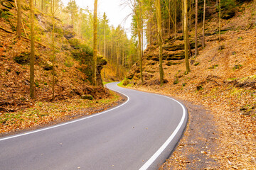 A winding road curves through a dense forest, surrounded by tall trees and lush plant life. The asphalt road surface contrasts with the natural landscape, creating a picturesque scene in the wood - 775369954