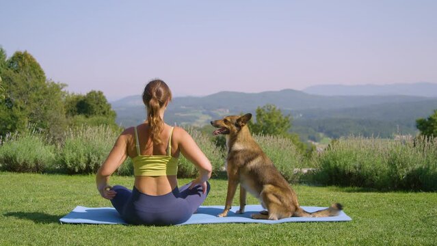 Cute mixed breed dog sits on yoga mat with his young owner trying to workout in the garden. Cuddly brown doggo refuses to let go of a woman doing stretching exercises because he wants to be petted.