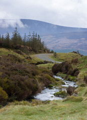 footpath and river in wicklow mountains, ireland