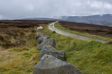 footpath and river in wicklow mountains, ireland