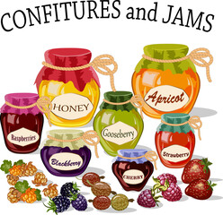 A set of jars with jams.Multicolored jars with confitures and jams on a transparent background in a vector illustration.