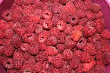 red raspberry background, raspberry