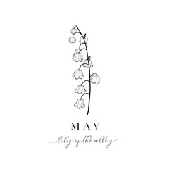 Lily of the Valley, May. Hand drawn birth flowers, Vector Graphics. - 775378119