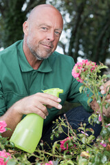 senior male gardener spraying roses