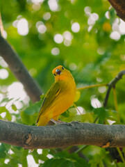 Naturaleza